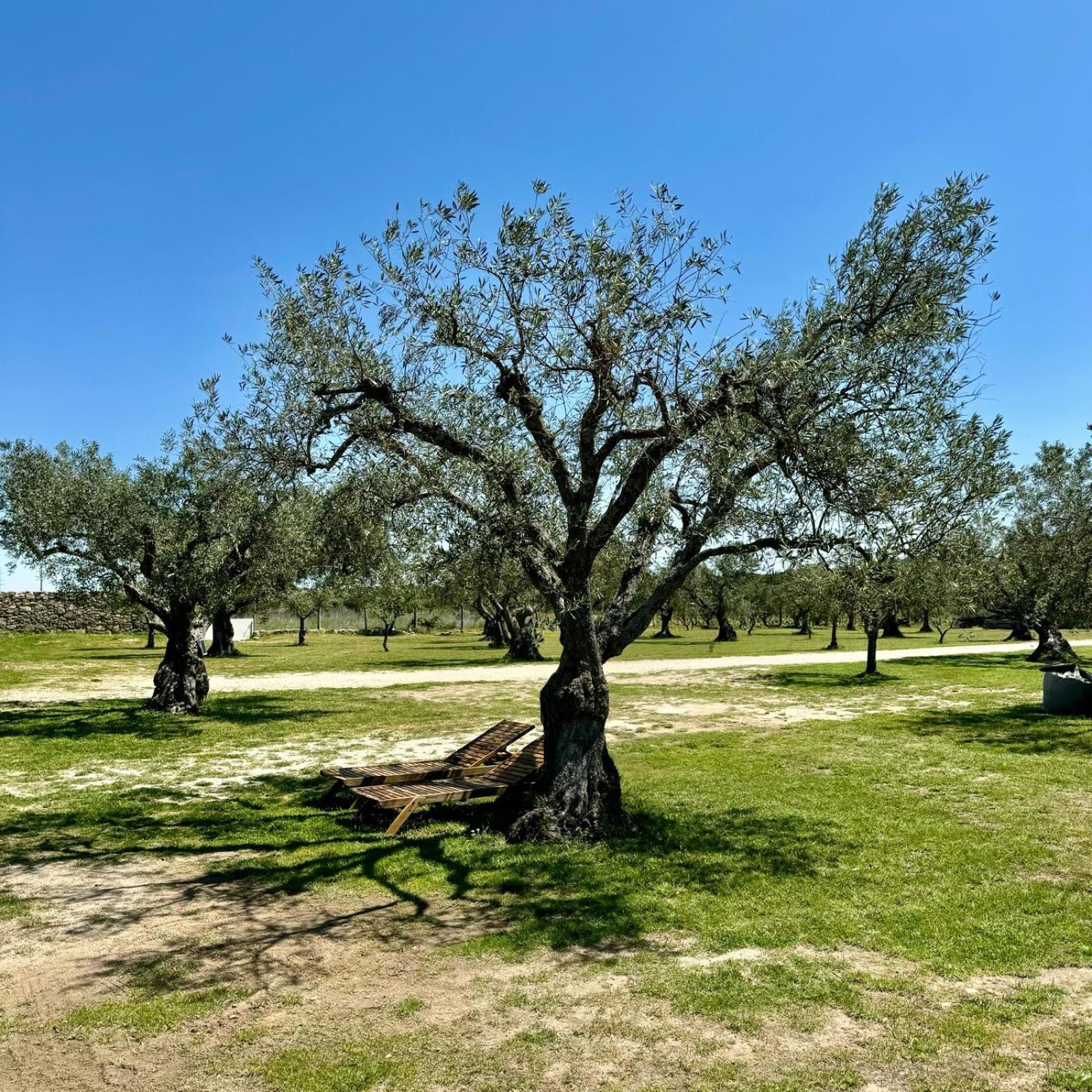 Quinta Do Nobre Villa Marialva Luaran gambar