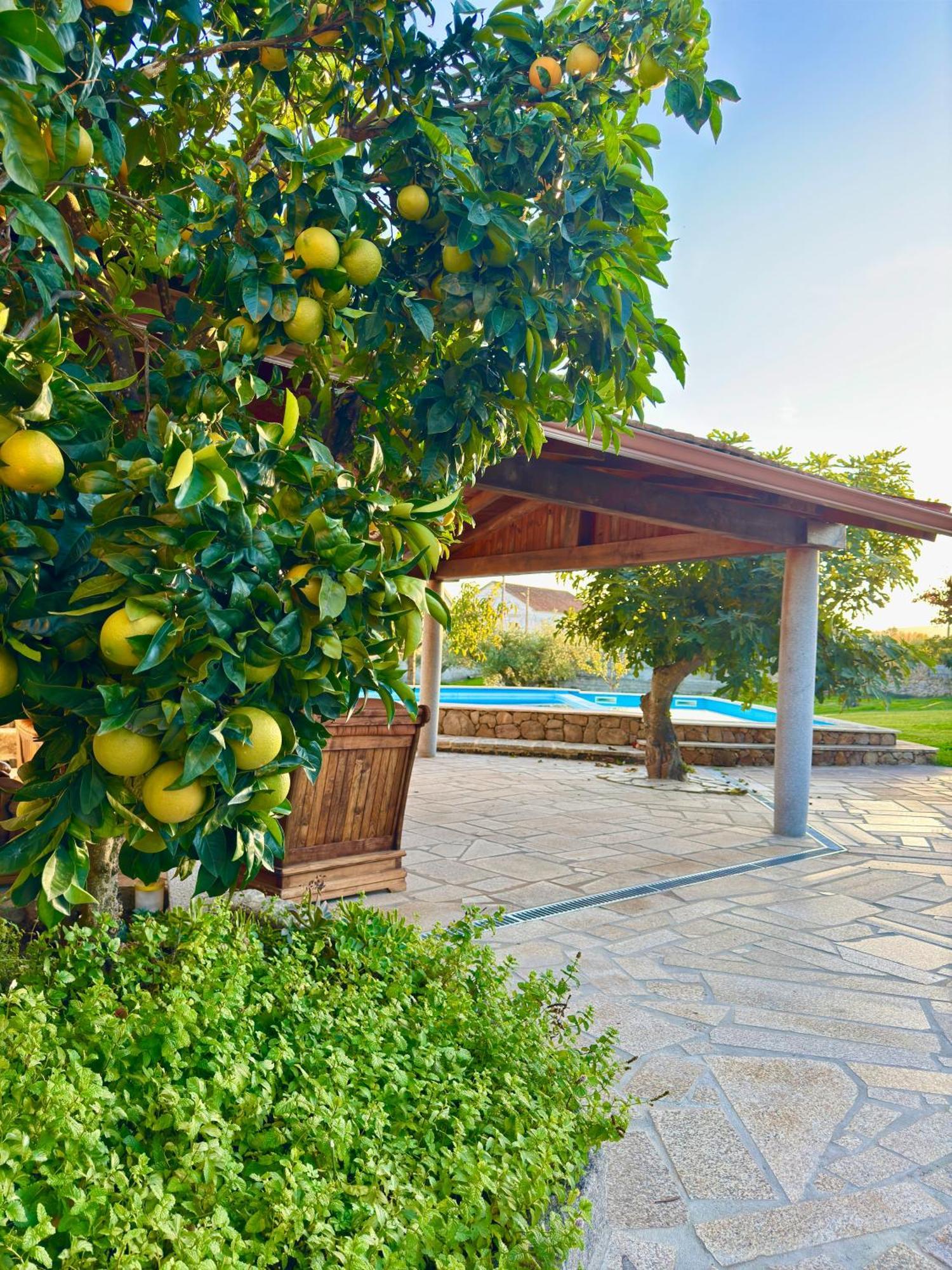 Quinta Do Nobre Villa Marialva Luaran gambar